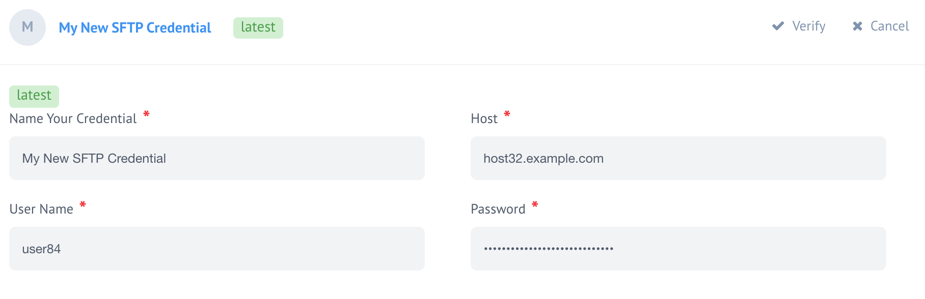 Rendering of the PasswordFieldView view class